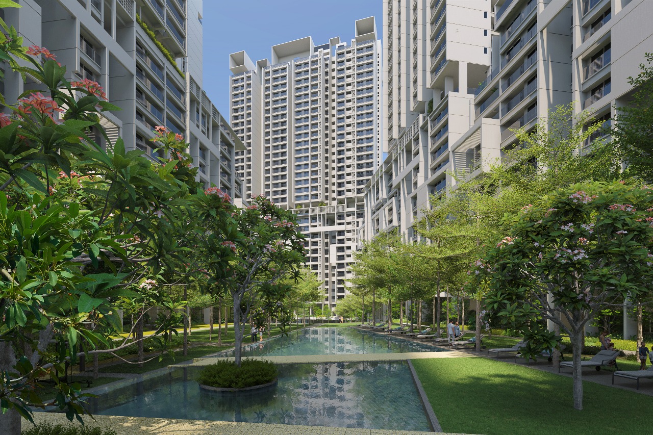 Rohan Ekam Highlights Image